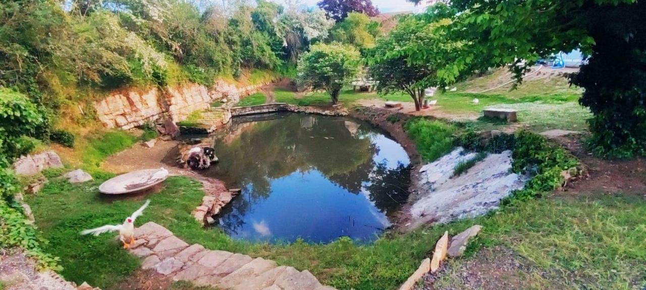 Studio Au Bord De L'Etang Laives ภายนอก รูปภาพ