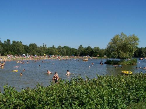 Studio Au Bord De L'Etang Laives ภายนอก รูปภาพ